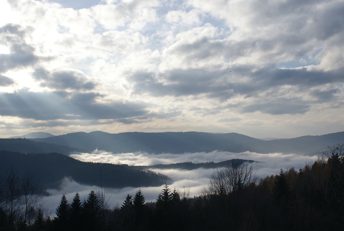 Fot. Jacek Graś