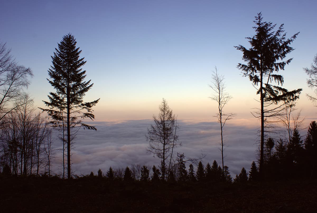 Fot. Jacek Graś