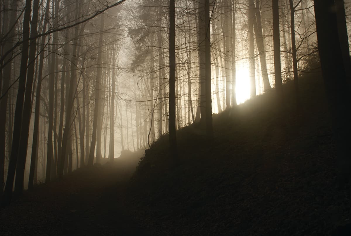Fot. Jacek Graś