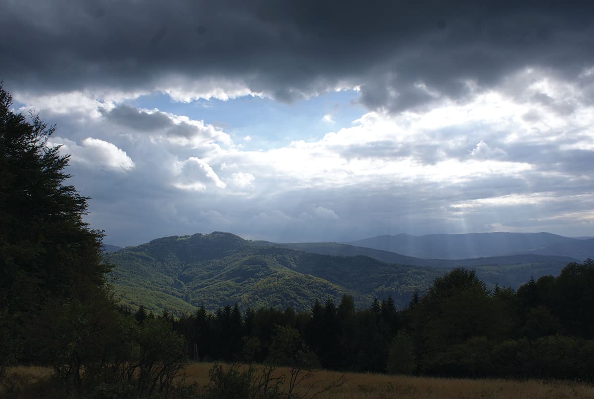 Fot. Kajetan Błaszczyk