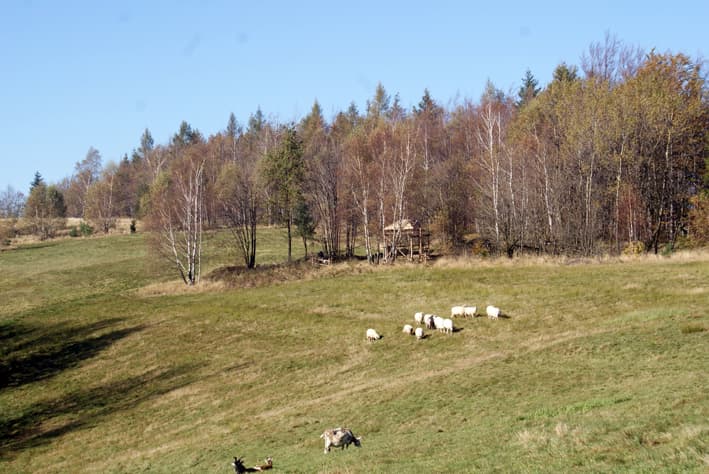 Artystyczna Chata na Trzonce