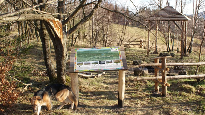 Artystyczna Chata na Trzonce