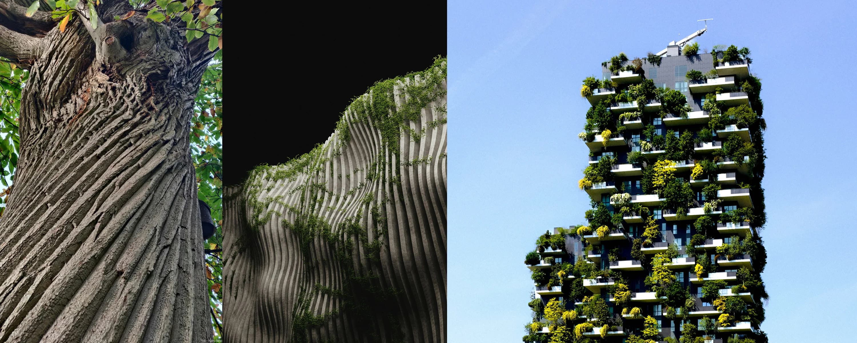 miasto___transformacje