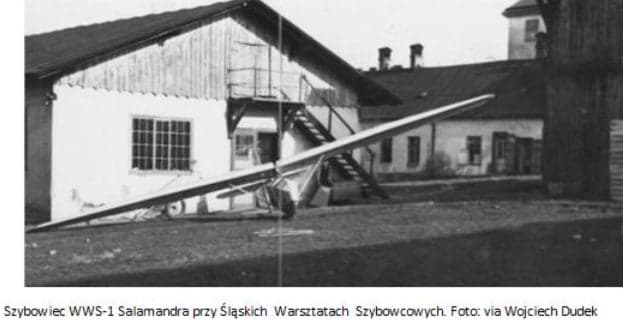 Materiał projektu Skrzydlaci 19