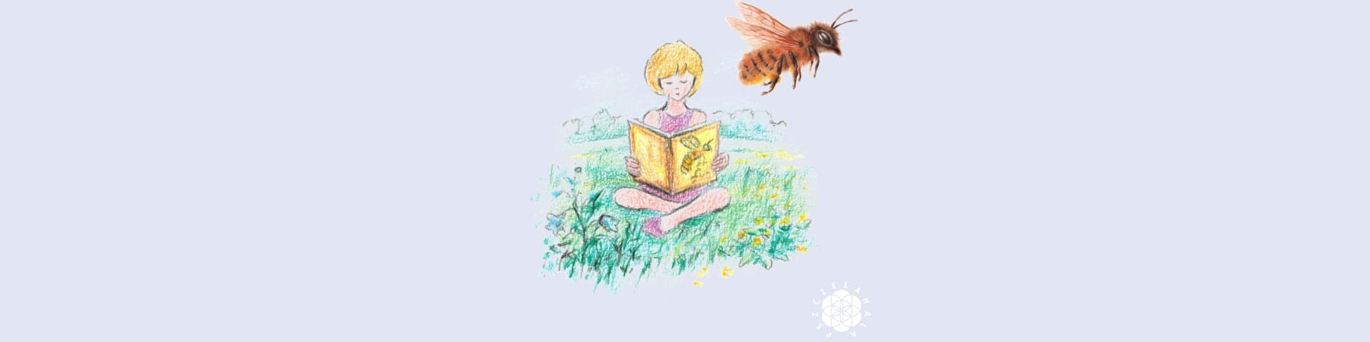 Jak edukować o zapylaczach?